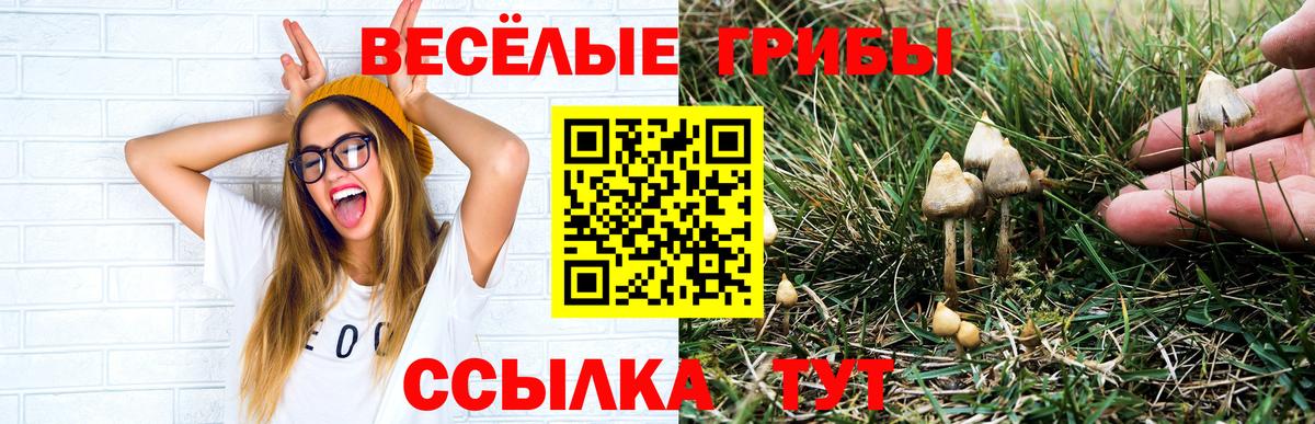 Урюпинск  Псилоцибиновые грибы мицелий  Вход с VPN 
